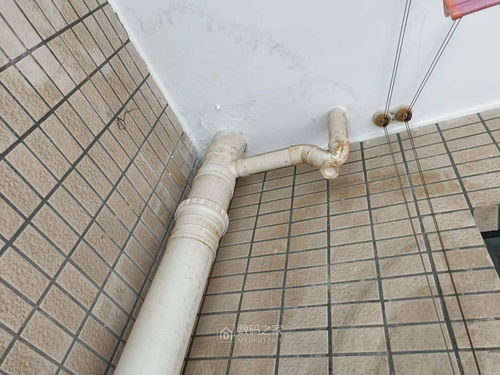 陽(yáng)臺(tái)pvc排水管 u形回水管 被樓下用 發(fā)泡膠 堵死了 有沒(méi)有什么方法解決 能工巧匠