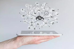 數(shù)字營銷革命引領(lǐng)中國制造邁向中國品牌租賃服務(wù)